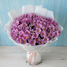 Букет цветов из:  Хризантемы в Лискинском