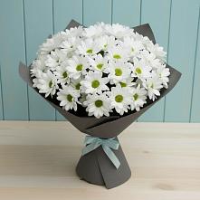 Букет цветов из:  Хризантемы в Лискинском