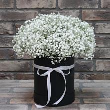Цветочная композиция из Гипсофила в шляпной коробке в Лискинском