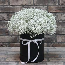 Цветочная композиция из Гипсофила в шляпной коробке в Лискинском