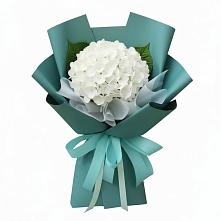 Букет цветов из:  Гортензия в Лискинском